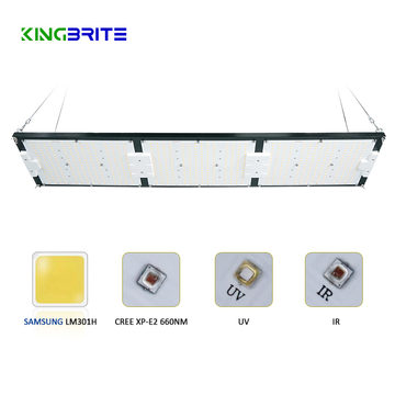 kingbrite 320w quantum board