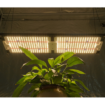 EU Stock! Kingbrite 240W Samsung LM301H 3500K+Epistar 660nm UV IR LED Grow Light