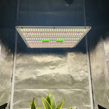 KingBrite 100W 150W Samsung LM301H EVO LED grow light with UV and IR channels