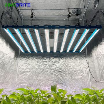 EU Stock! Top Efficiency! 1000W Samsung LM301H EVO with Osr 660nm 730nm Bar KingBrite Led Grow Light