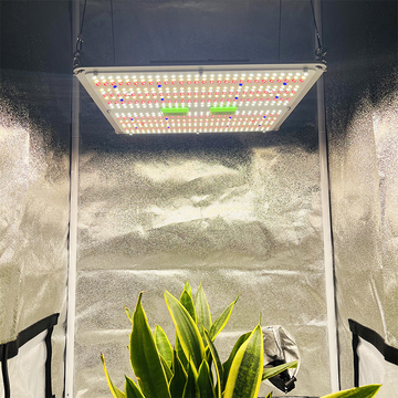 No Tax to EU! KingBrite 150W Led Grow Light With UV IR Samsung LM301H EVO Led Lamp, Separate switches for UV/IR Channels